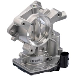 Electronic Throttle Body Module 7.01816.07.0