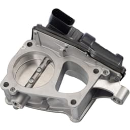 Electronic Throttle Body Module 7.02923.15.0
